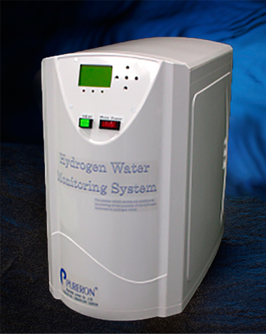 Hydrogen concentration monitor